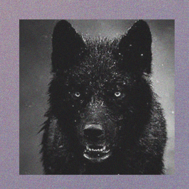 Alfa — cover art