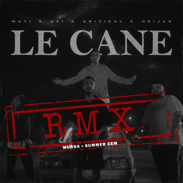 LE CANE (RMX) — cover art