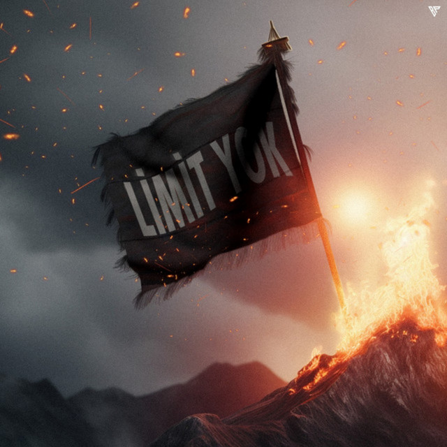 LİMİT YOK — cover art