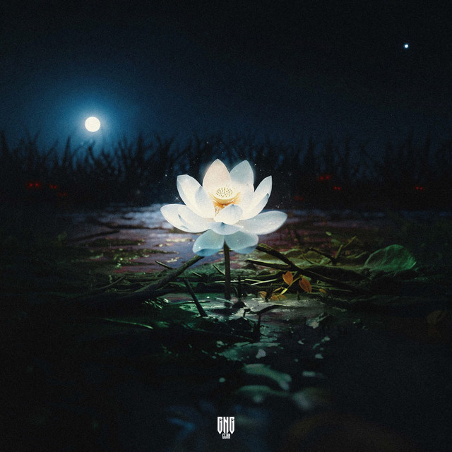 LOTUS — cover art