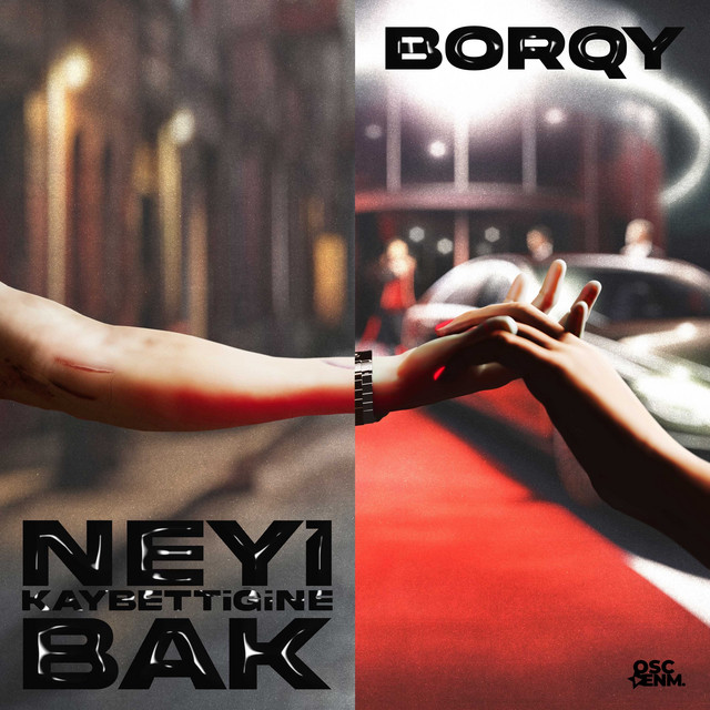 Neyi Kaybettiğine Bak — cover art