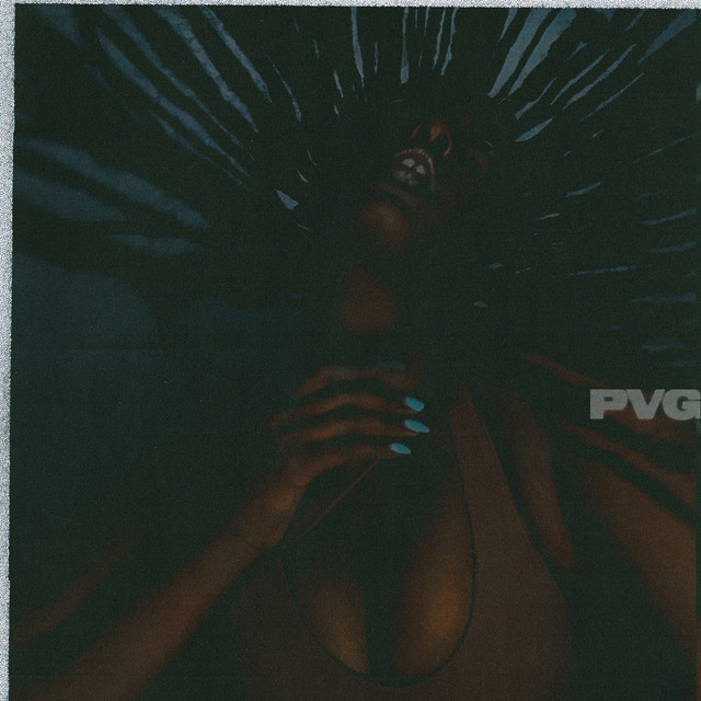 pVg — cover art
