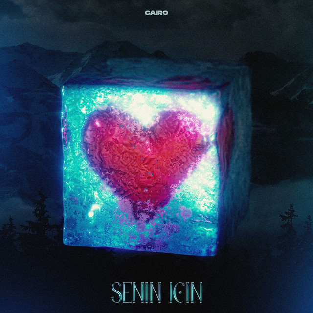 Senin İçin — cover art