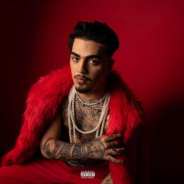 SEVİMSİZ — cover art