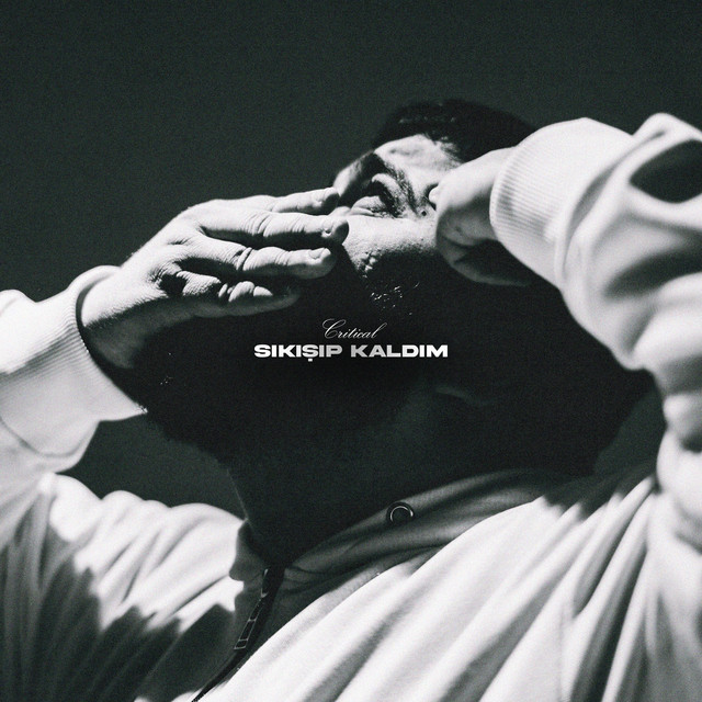 SIKIŞIP KALDIM — cover art