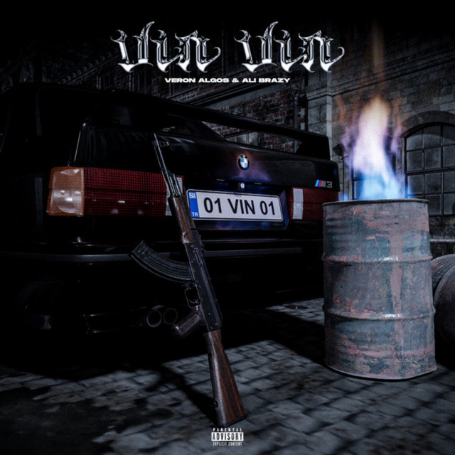 VIN VIN — cover art